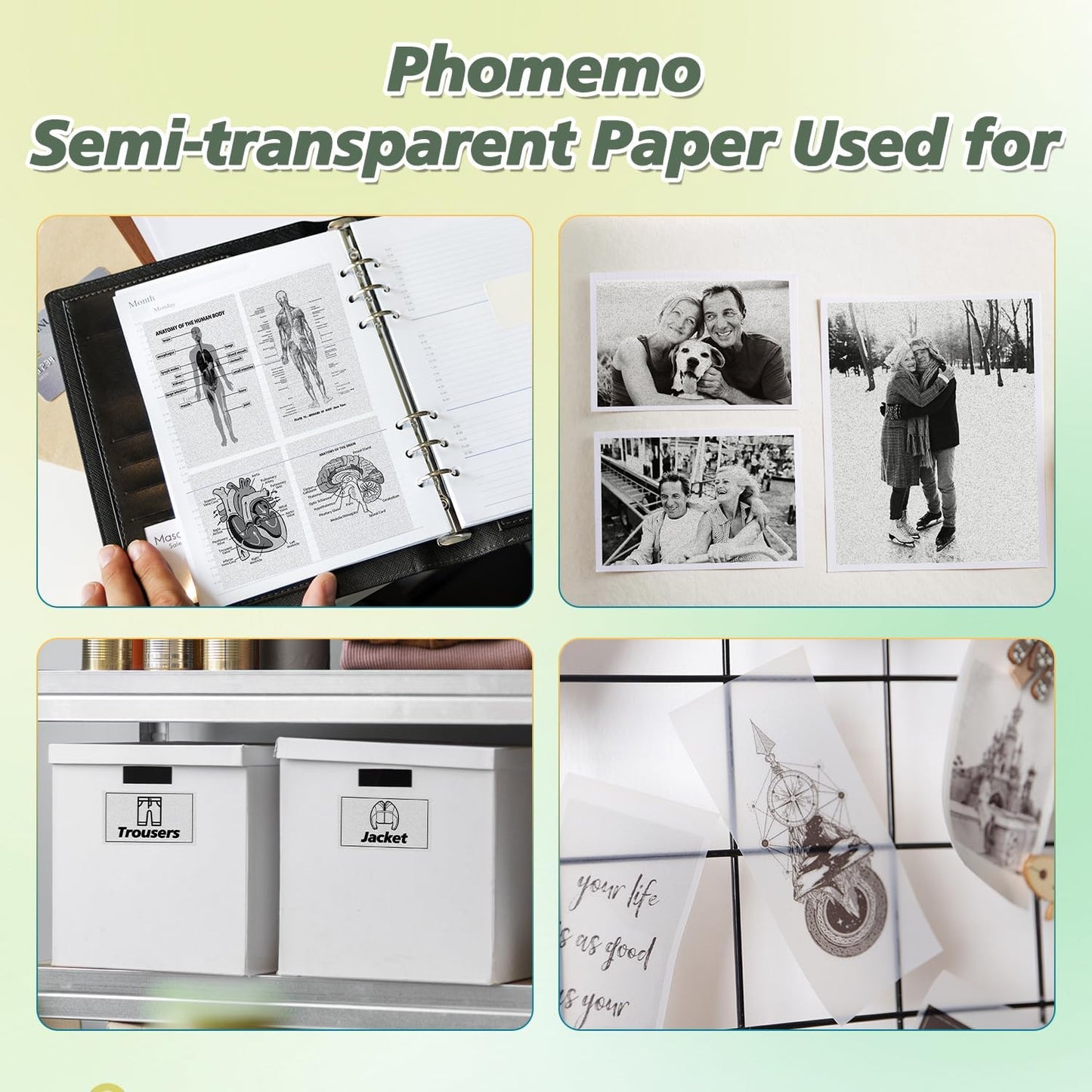 Semitransparent Glossy Thermal Sticker Paper, Self-Adhesive Labels for M02/M02 Pro/M02S/P2S/M03/M04S Mini Printer, 50mm x 3.5m, 28mm Core Diameter, 3 Rolls