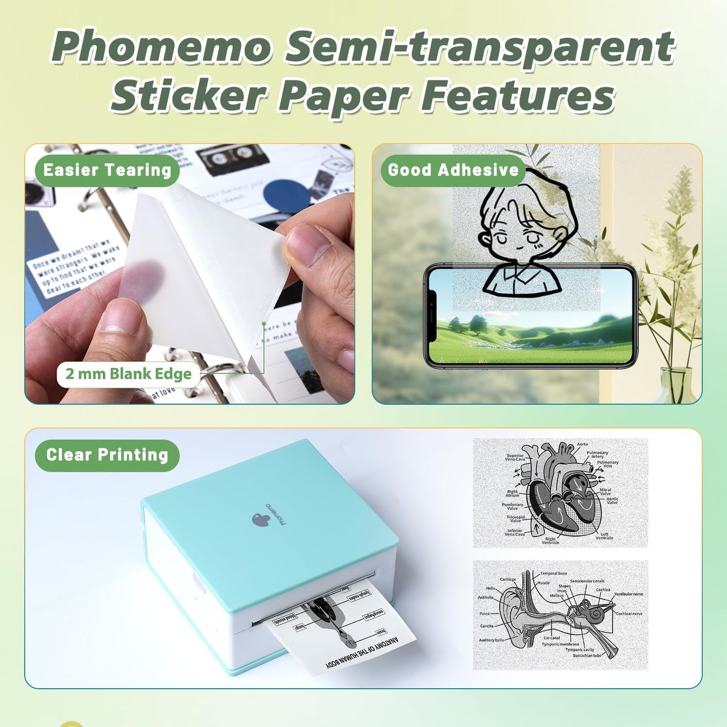 Semitransparent Glossy Thermal Sticker Paper, Self-Adhesive Labels for M02/M02 Pro/M02S/P2S/M03/M04S Mini Printer, 50mm x 3.5m, 28mm Core Diameter, 3 Rolls